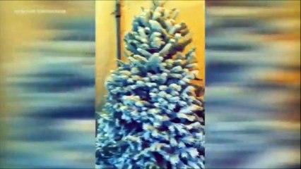 Kylie Jenner gets into the Christmas spirit and goes all out