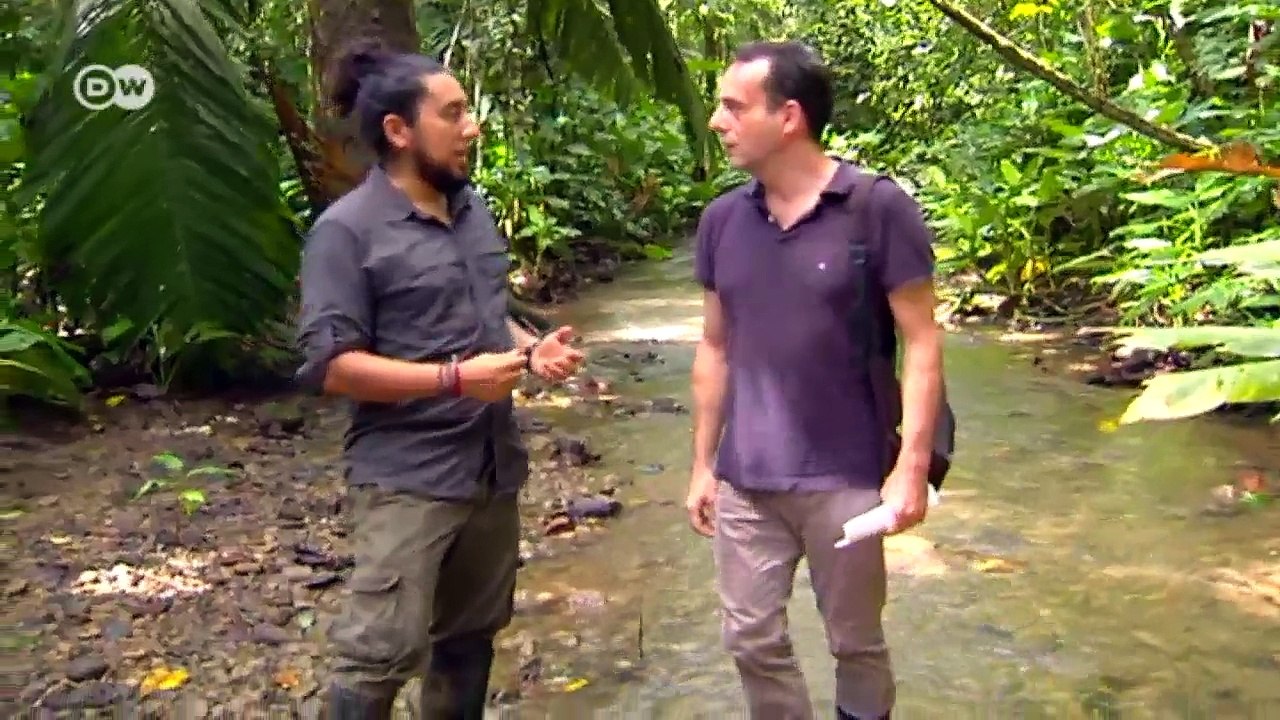 Cash for biodiversity in Costa Rica | Environment