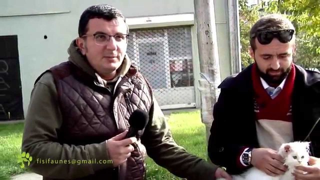 Fisi Faunes - Sezoni 3 / Episodi 13