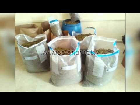 Sekuestrohen 330 kg kanabis në dy operacione - Top Channel Albania - News - Lajme