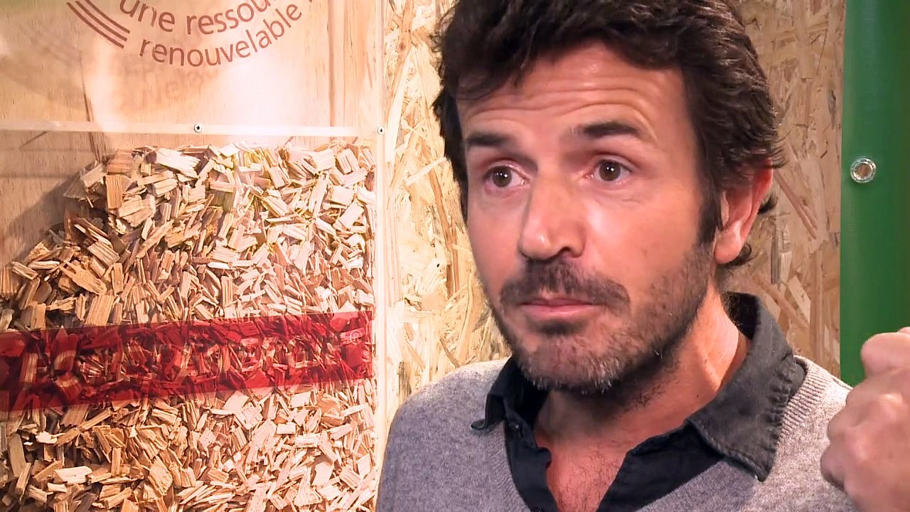 Déforestation: un enjeu crucial dans le réchauffemnt climatique