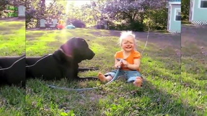 Dogs and Babies Playing with Hoses Compilation 2015 [ NEW HD ]