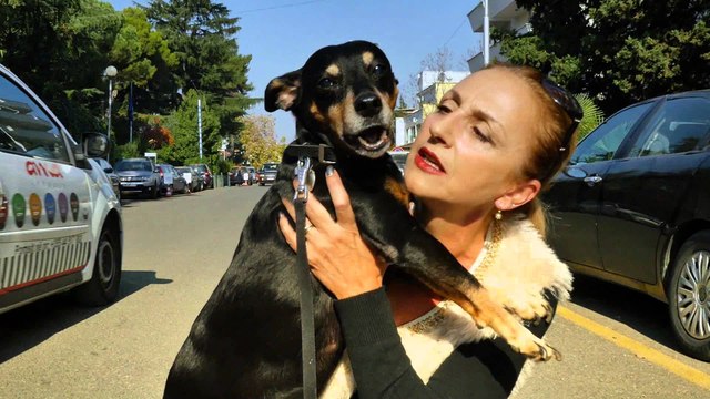 Tring Promo|Qeni im se shpejti ne Living|Kanali 102 ne Tring