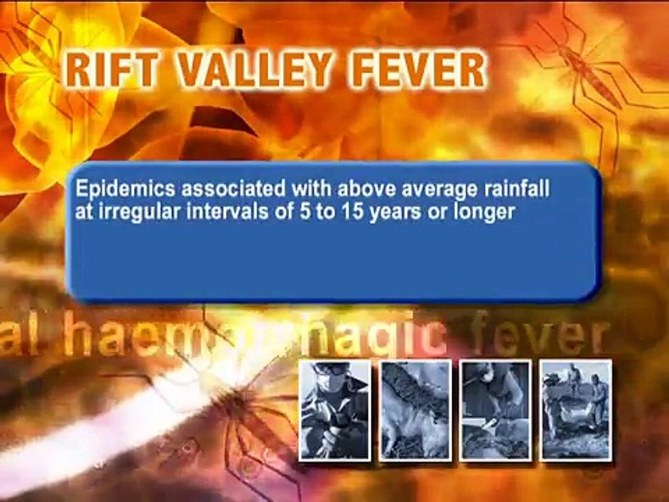 Rift Valley Fever (RVF) - clinical signs and symptoms