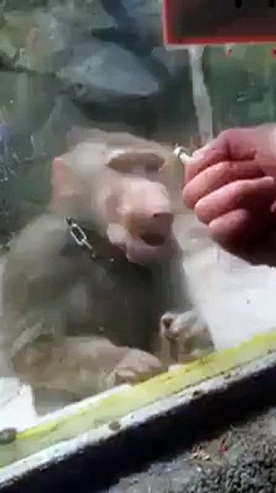 Amazing and funny movemnt