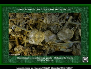 17-les acquisitions de minéraux