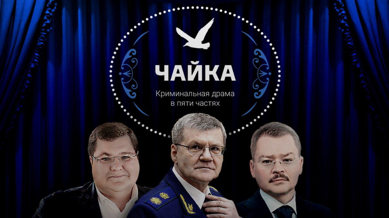 Анатомия Чайки