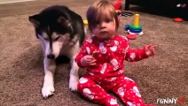 Animal Videos   Animals Feeding   Dog - Animal   Baby And Puppy   Puppies   Puppy Dogs   Dogs Video