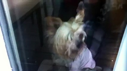 z57 presents Lea Ready, Set, Go!