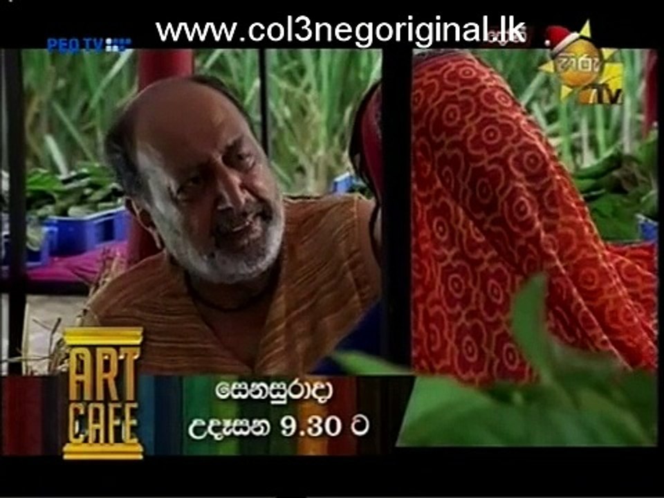 Dhoni (2)