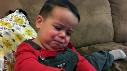 Adele amansa a las fieras: niño deja de llorar al escuchar 'Hello'