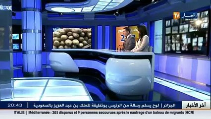 سوق التمور في الوادي بين الوفرة و سوء التسويق