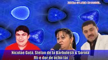 Nicolae Guta & Stefan De La Barbulesti & Sorina - Mi-e Dor De Ochii Tai