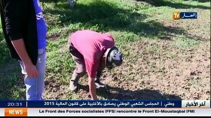 Agriculture  le spectre de la sécheresse hante l esprit des agriculteurs au début de saison