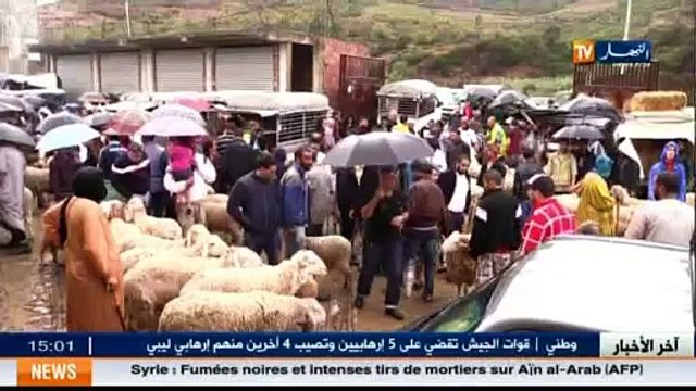 Aid El Adha les citoyens acheté les moutons a la dernier minute