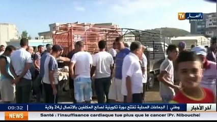 Aïd El-Adha  Flambée des prix des moutons à sacrifier dans les marchés d Annaba