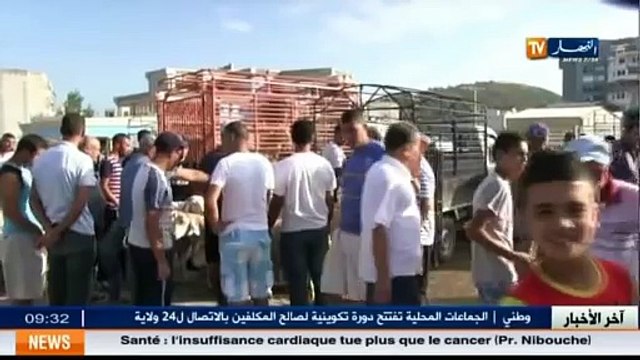 Aïd El-Adha Flambée des prix des moutons à sacrifier dans les marchés d Annaba