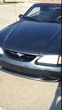 Quando Vires O Porque Deste Gajo Chegar Insecticida Ao Carro Vais Fazer O Mesmo!!!