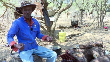 Rekorddürre bringt Südafrika den Tod