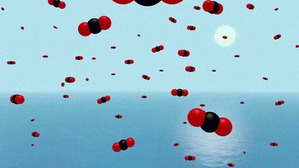 L'acidification des océans