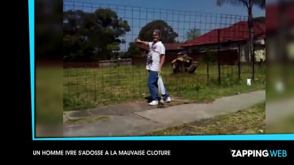 Une maman chihuahua enterre son petit chiot mort