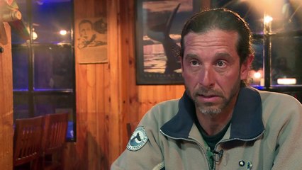 El cambio climático también afecta a las ballenas