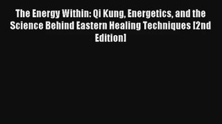 The Energy Within: Qi Kung Energetics and the Science Behind Eastern Healing Techniques [2nd