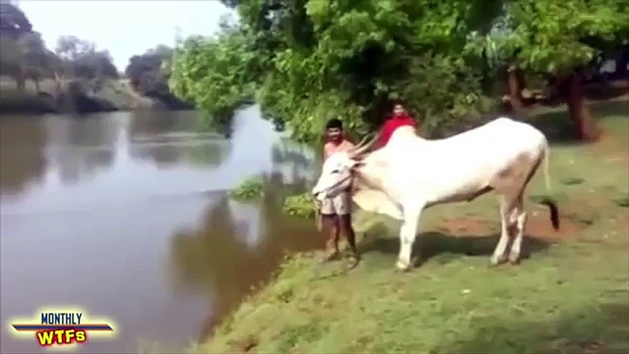 WTF Compilation -- October 2015 -- MonthlyFails