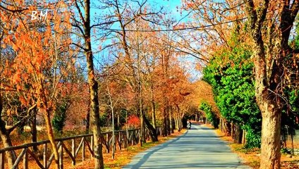 Χωρίς Εσένα ---- Ευσταθία