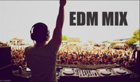 Best of EDM 2016 - Top Electro House 2016 - New Top EDM Songs 2016
