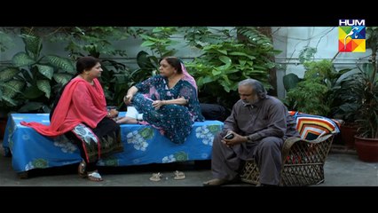 Tum Mere Paas Raho Last Episode  Part 1 HUM TV Drama 02 Dec 2015