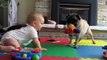 Funny Babies Annoying Cats and Dogs Compilation 2014 [HD]