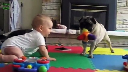 Funny Babies Annoying Cats and Dogs Compilation 2014 [HD]
