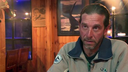 Climate change threatens whales' migratory routes