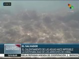 El Salvador: cambio climático amenaza una quince especies de coral
