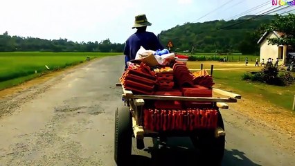 Bố Là Tất Cả - Mèo Tom Vui Nhộn - Giúp Bé Ăn Ngon Miệng