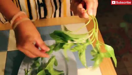 Ant Egg and Mushroom Soup  Thai Food Recipe