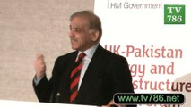 Jobless Pakistanis could be used by Terrorists Extremists CM Punjab Shahbaz Sharif's Warning