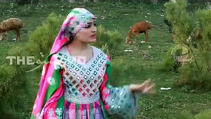 Gul Rukhsar Pashto New Song Pushtotube.net