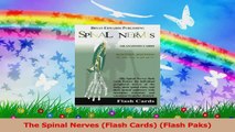 The Spinal Nerves Flash Cards Flash Paks Read Online