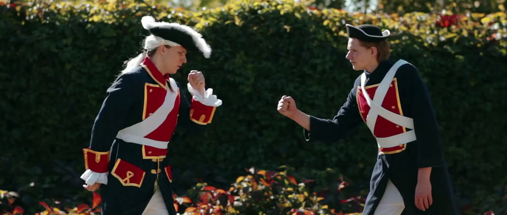 Funny Animals: Assassin's Kittens!
