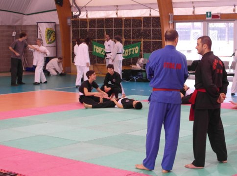 ARTI MARZIALI A PRECOTTO. MILANO, 28 NOVEMBRE 2015 (4 of 4)