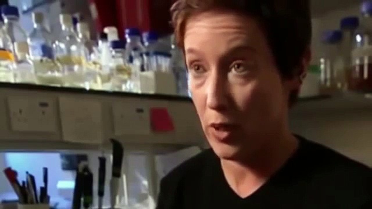 Coral Sea, Louisiade & Trobriand Islands Documentary