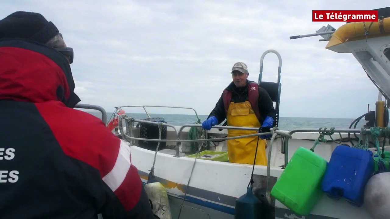Baie de Morlaix. Affaires maritimes : les contrôleurs veillent sur la coquille