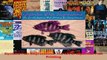 Read  Gyotaku Fish Impressions The Art of Japanese Fish Printing Ebook Online