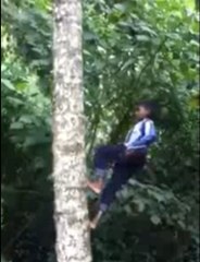 بغیر ہاتھ لگاءے یہ لڑکا درخت پر چڑھ گیا