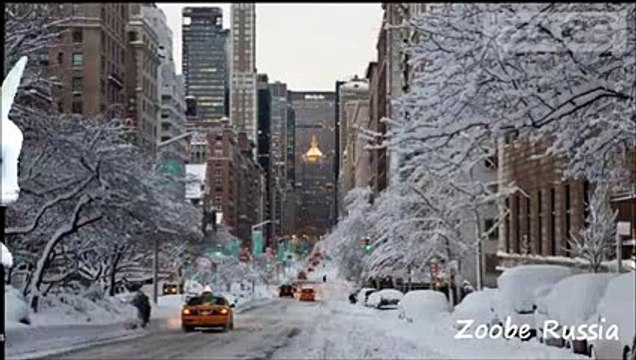 Zoobe Зайка - Что-то надоело так все