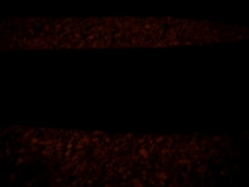 Luciole sicilienne !