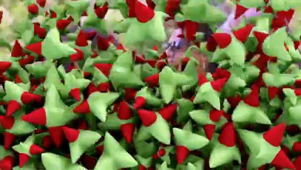 Best Artstic Pranks - Best of Just For Laughs Gags