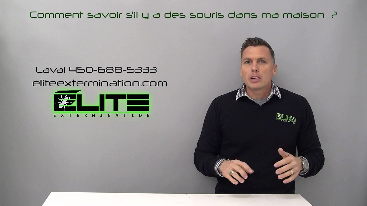 COMMENT SAVOIR S'IL Y A DES SOURIS DANS LA MAISON ? ( Élite Extermination )